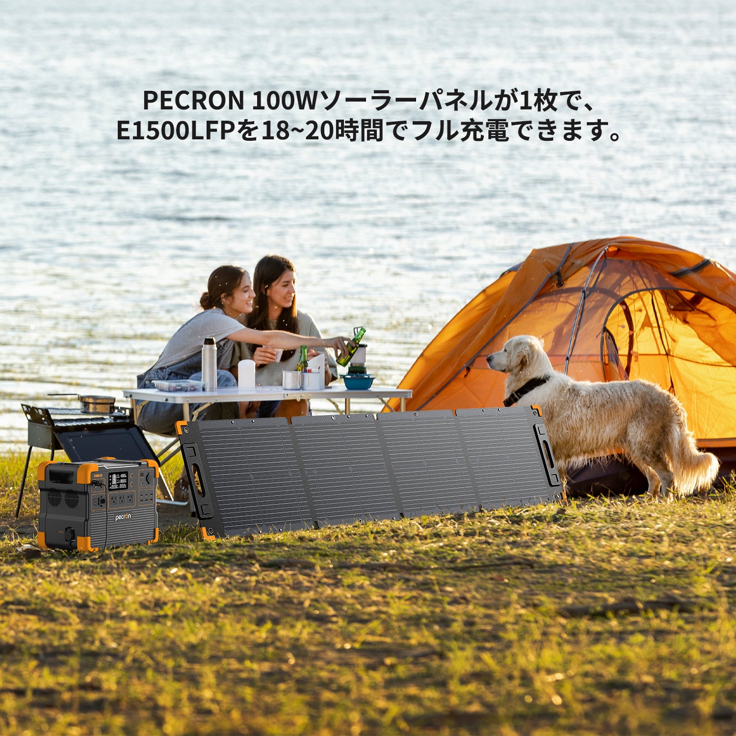 PECRON 100Wソーラーパネル 19.4V【新版】