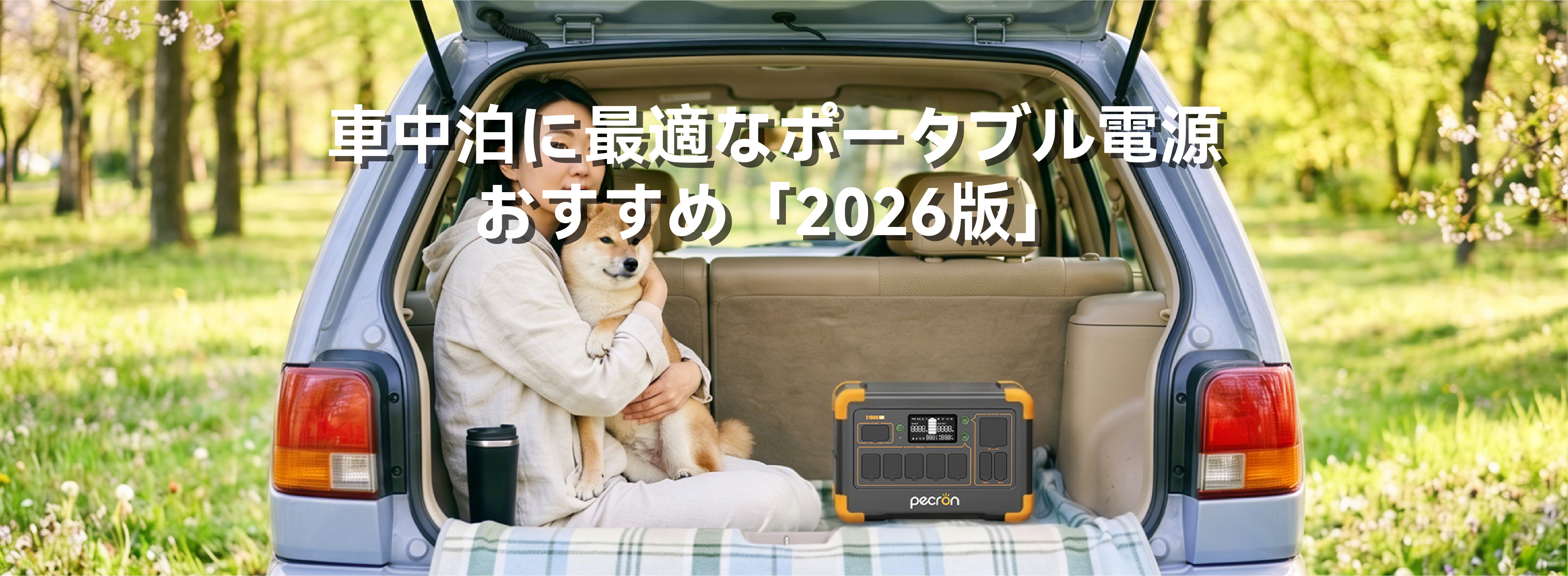 ポータブル電源、1000Wの大出力、車中泊や災害時に最適。                 【値下げしました】 28134542834_249d.jpg